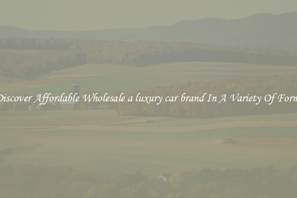 Discover Affordable Wholesale a luxury car brand In A Variety Of Forms