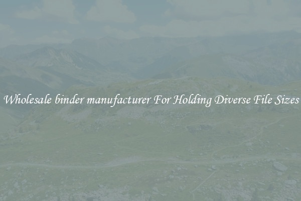 Wholesale binder manufacturer For Holding Diverse File Sizes