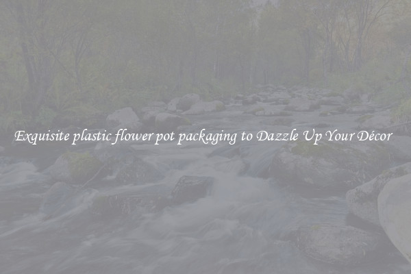 Exquisite plastic flower pot packaging to Dazzle Up Your Décor  