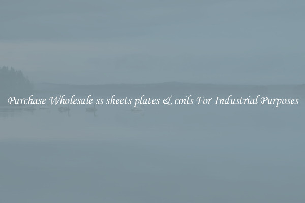 Purchase Wholesale ss sheets plates & coils For Industrial Purposes