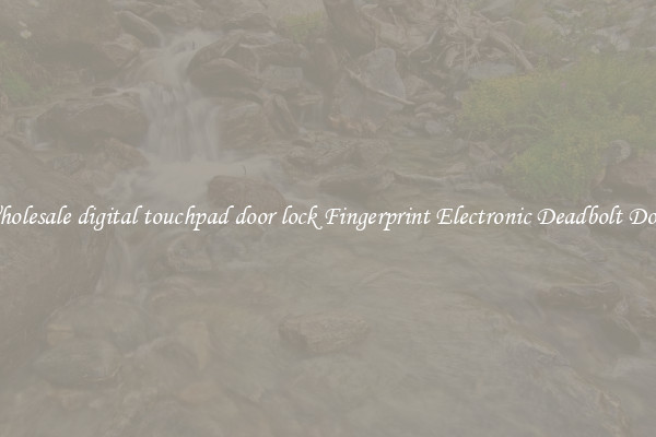 Wholesale digital touchpad door lock Fingerprint Electronic Deadbolt Door 