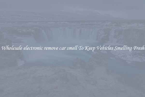 Wholesale electronic remove car smell To Keep Vehicles Smelling Fresh