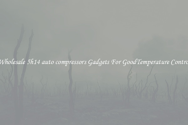 Wholesale 5h14 auto compressors Gadgets For GoodTemperature Control