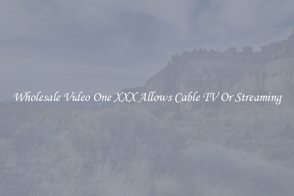 Wholesale Video One XXX Allows Cable TV Or Streaming