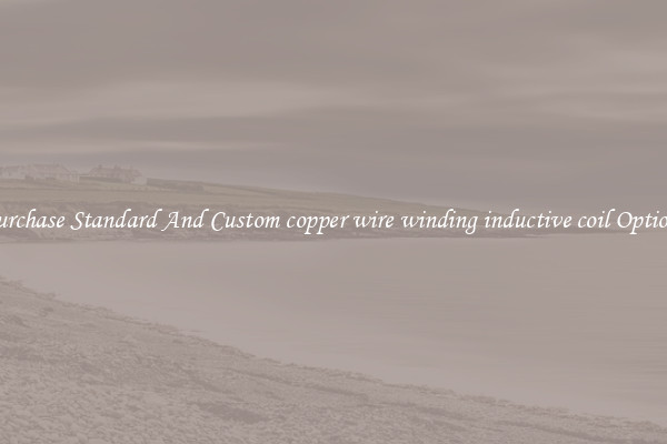 Purchase Standard And Custom copper wire winding inductive coil Options
