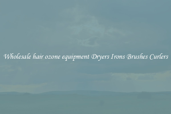 Wholesale hair ozone equipment Dryers Irons Brushes Curlers