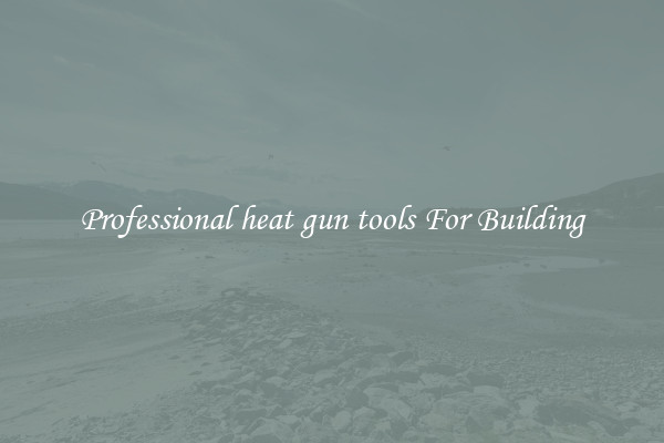 Professional heat gun tools For Building