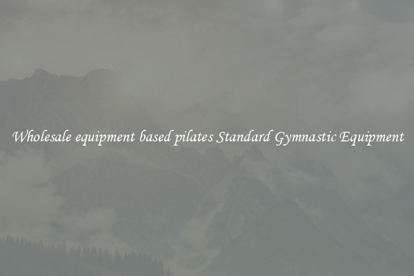 Wholesale equipment based pilates Standard Gymnastic Equipment