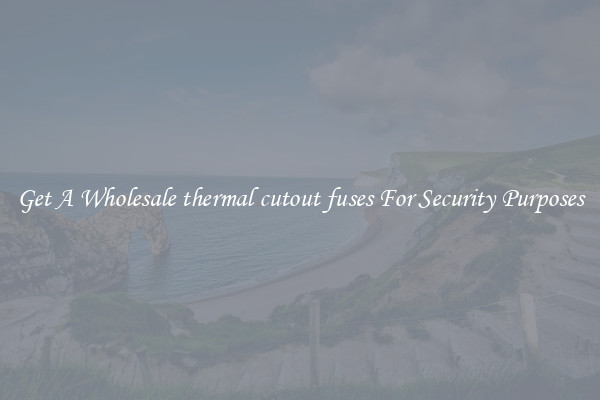 Get A Wholesale thermal cutout fuses For Security Purposes