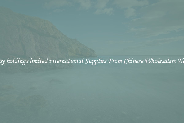 Buy holdings limited international Supplies From Chinese Wholesalers Now