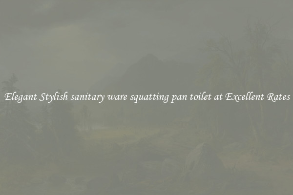 Elegant Stylish sanitary ware squatting pan toilet at Excellent Rates