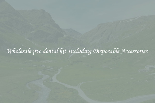 Wholesale pvc dental kit Including Disposable Accessories 