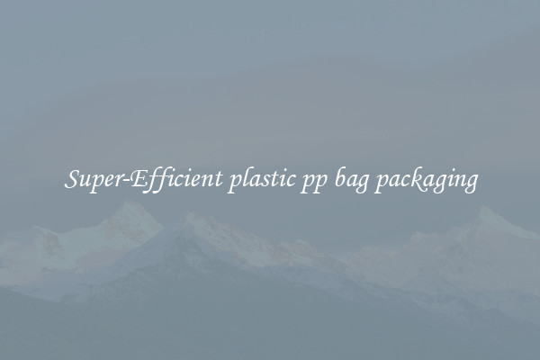 Super-Efficient plastic pp bag packaging