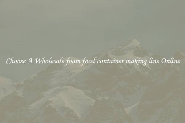 Choose A Wholesale foam food container making line Online