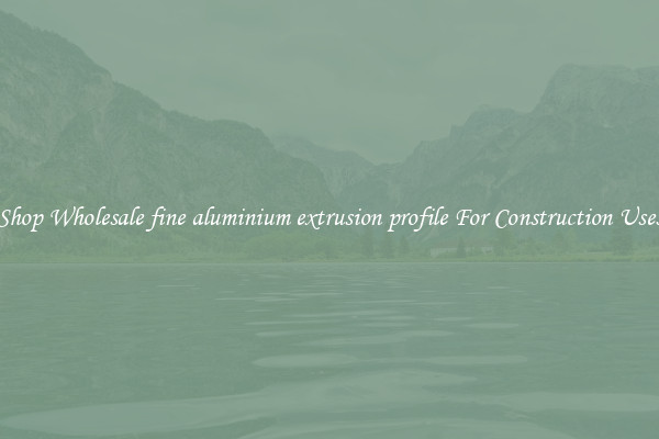 Shop Wholesale fine aluminium extrusion profile For Construction Uses
