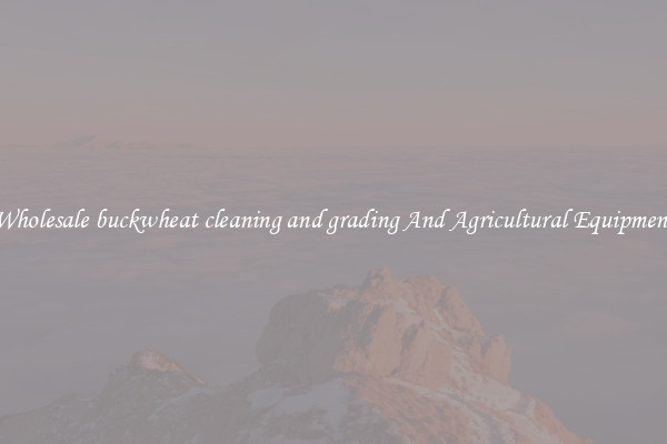 Wholesale buckwheat cleaning and grading And Agricultural Equipment
