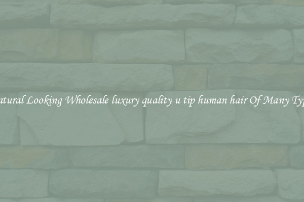Natural Looking Wholesale luxury quality u tip human hair Of Many Types