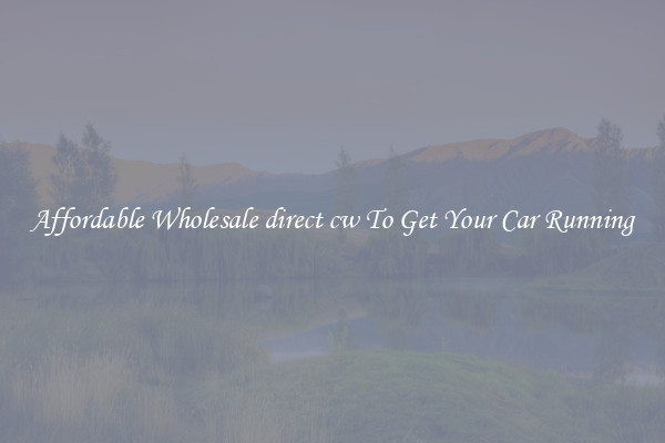 Affordable Wholesale direct cw To Get Your Car Running